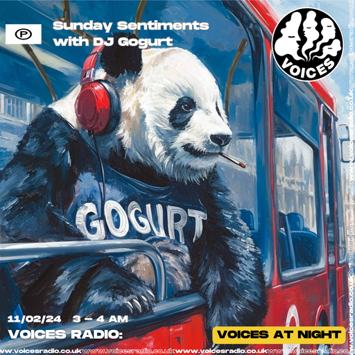 DJ Gogurt - 11/02/24 - Voices Radio