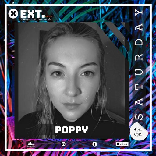 Poppy - 11 JUN 2022