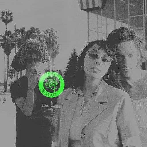 Peak Time – Ten Years of Arbutus Records