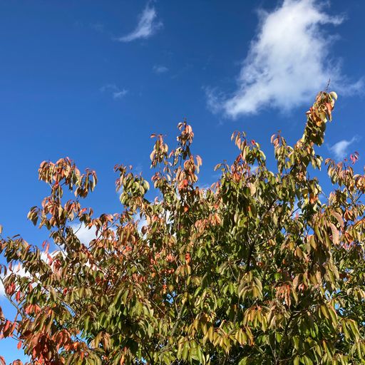 Be More Well - 22/10/22