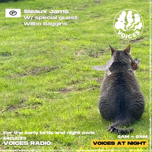 Sleaux Jams x Willbo Baggins - 14/12/23 - Voices Radio