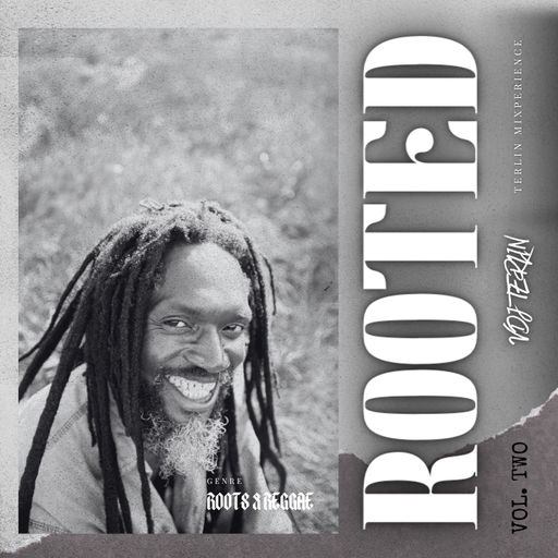 Rooted Vol 2 - VDJ TERLIN