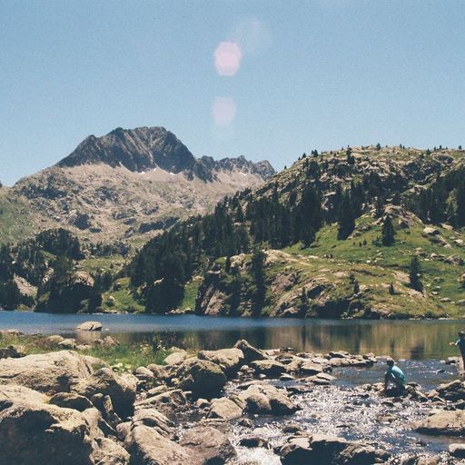 Peace Portal w/ Max Harper - 28th December 2025