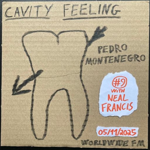 cavity feeling #9: pedro montenegro w/ Neal Francis // 05-11-2025