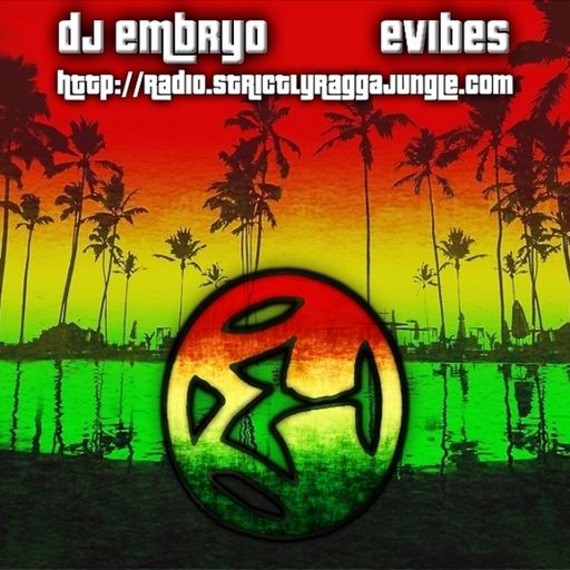 DJ Embryo - eVibes Live 1