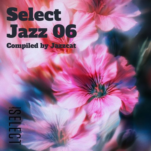 Select Jazz 06