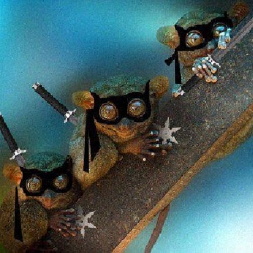 Alias Grace - House Train3d (23/03/23)