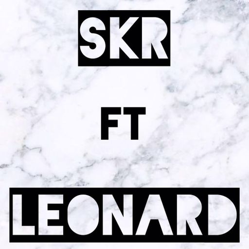 【DJ SkR X DJ Leonard】2o19 Private ReM!x