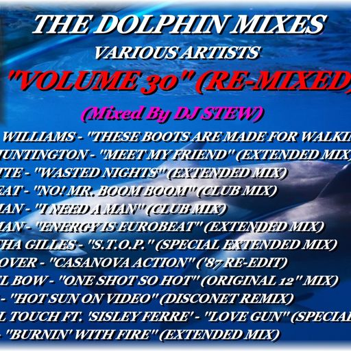 THE DOLPHIN MIXES - VARIOUS ARTISTS - ''VOLUME 30'' (RE-MIXED)