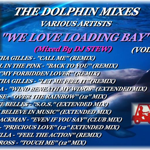 THE DOLPHIN MIXES - VARIOUS ARTISTS - ''WE LOVE LOADING BAY'' (VOLUME 6)