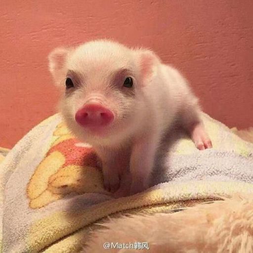 DJ'YE【Zhu Ge Private Mix】《Inez - Stronger X ДЕТИ RAVE - CHINA TOWN X 蔡恩雨 - 美人魚》Mixtape 2x22