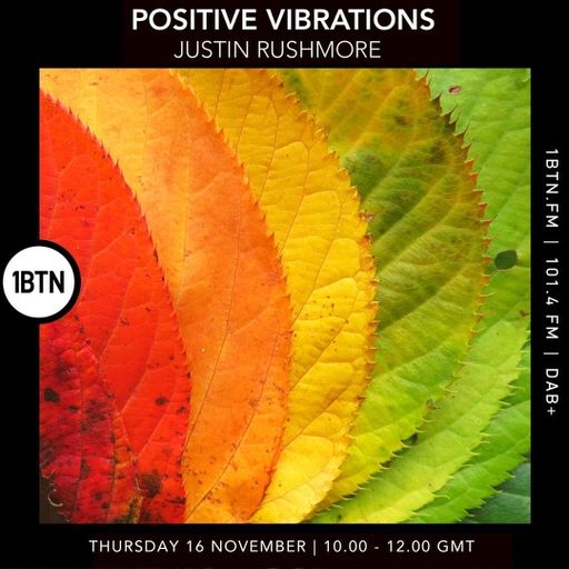 Positive Vibrations w/ Justin Rushmore - 16.11.23
