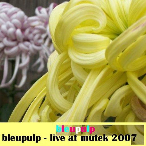 bleupulp live at mutek 2007