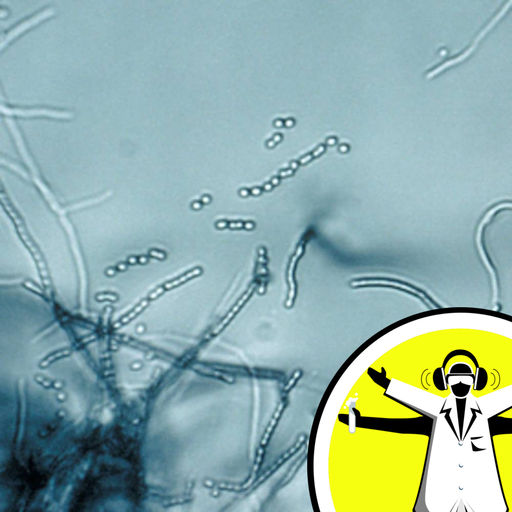 Making a Meal out of Microbes - Naked Scientists 12.05.27