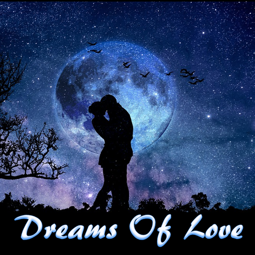 DJ VIP : Dreams Of Love