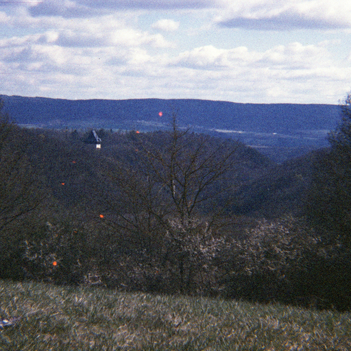 PEACE W/ SOM SOM - 31st December 2025