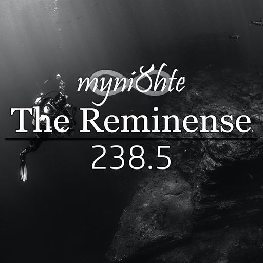 The Reminense 238.5