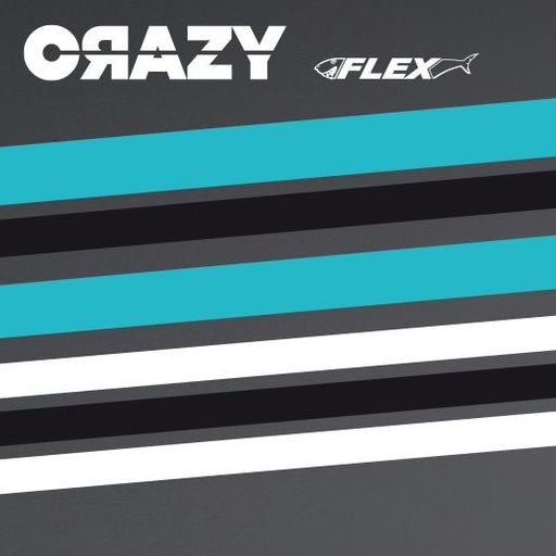 Frank Lorber at "Crazy x Cocoon Special" @ Flex (Vienna-Austria) - 15 August 2006