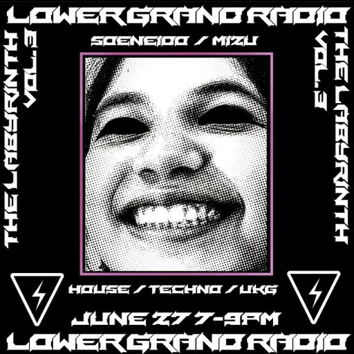 THE LABYRINTH VOL 3.