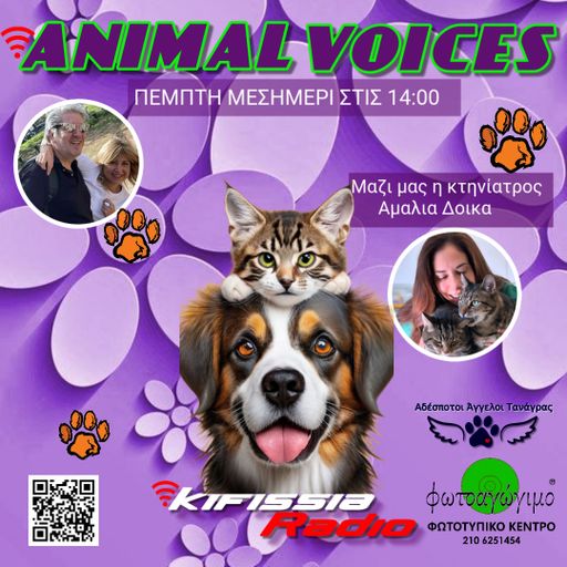 animal voices vol 13