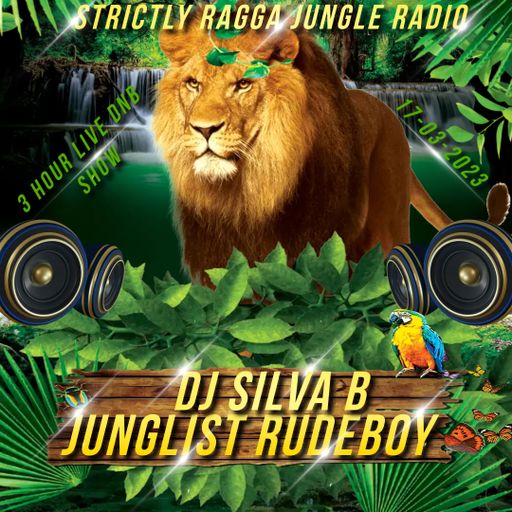 - DJ SILVA B - JUNGLIST RUDEBOY LIVE RADIO MIX @SRJR 17-03-2023