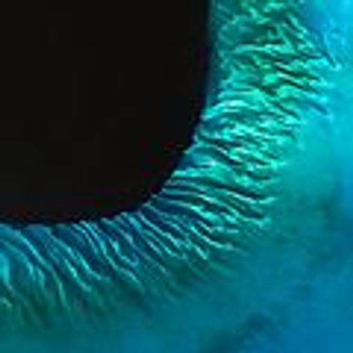 Perspectives (FusionLounge)