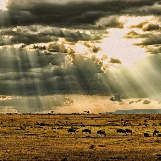 African Skies (ExtendedJazzFusion)