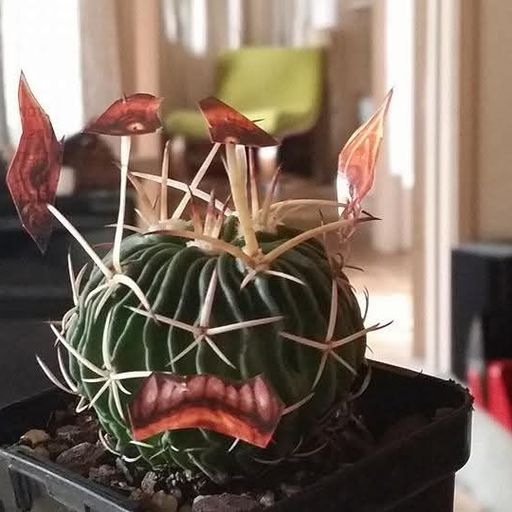 Bit all over the place