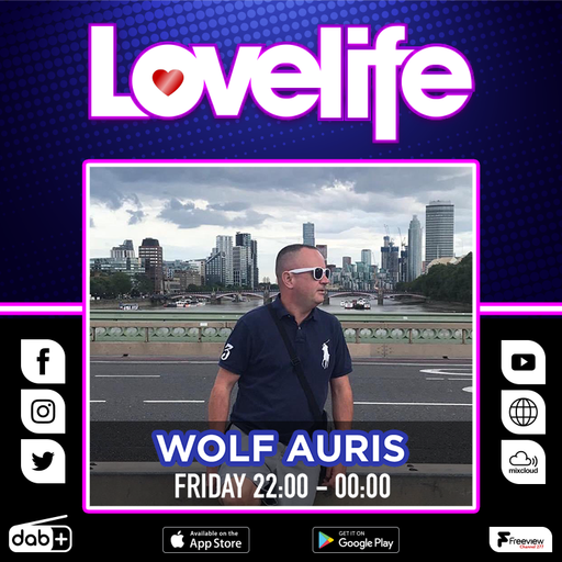 Wolf Auris 26 JAN 2024
