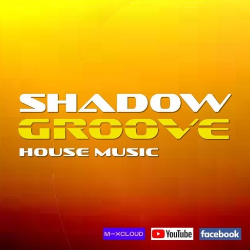 ShadowGroove Vinyl Sessions - Episode 89 (House/Funky/Progressive)