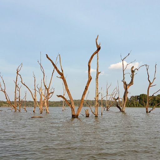 Sacred Pools w/ FASO - 8th January 2026