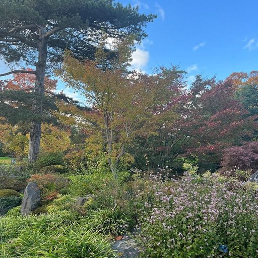 Inner Frolic w/ Eno Inwang - 1st January 2026