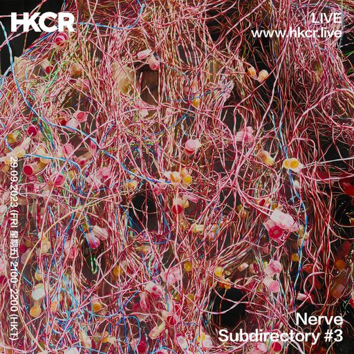 Nerve: Subdirectory #3 - 29/09/2023