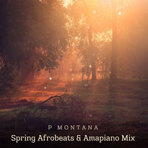 Spring Afrobeats & Amapiano 2025 Mix