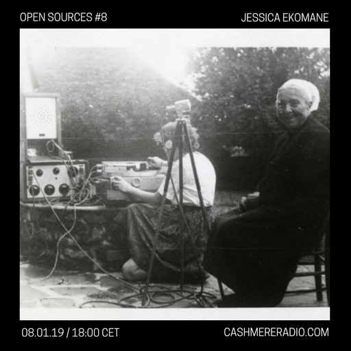 Open Sources #8: Western Europe 08.01.2019