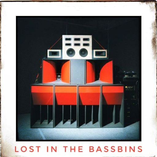 Lost in the Bassbins June2020