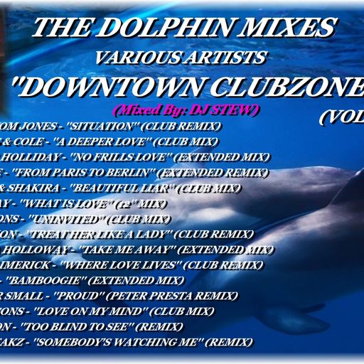 THE DOLPHIN MIXES - VARIOUS ARTISTS - ''DOWNTOWN CLUBZONE'' (VOLUME 1)