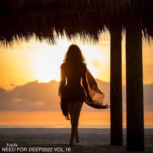 "New" Best Of Vocal Deep House & Chillout MIXTAPE | NEED FOR DEEP2022 Vol.16 Mixed by Dj T-risTa