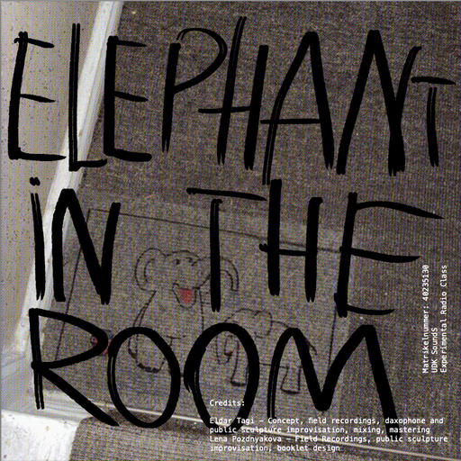 Experimental Radio Practice : Eldar Tagi - Elephant in the Room 01.11.2023