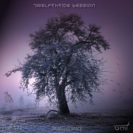 The Twelfthtide Session - December 2023