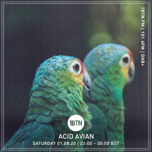 Acid Avian - 01.08.2020