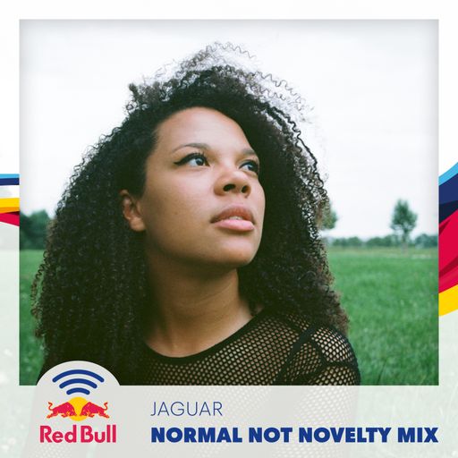 Normal Not Novelty Mix - Jaguar