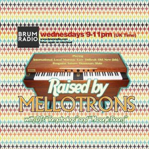 Raised By Mellotrons: Winter Heliotrope (16/01/2019)