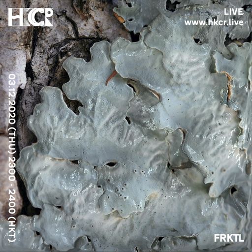FRKTL - 03/12/2020