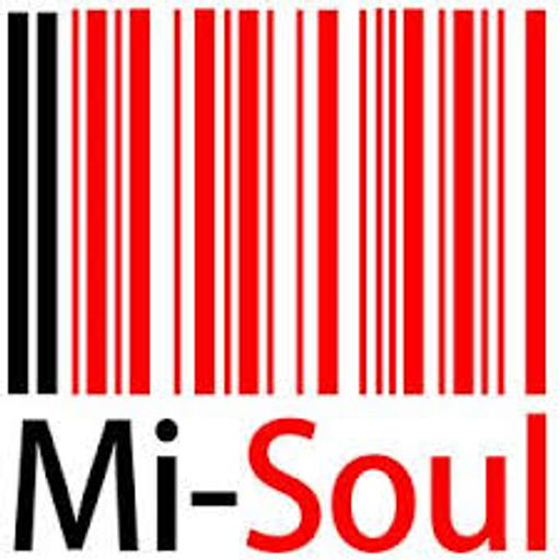 THE GLOBAL GLITCH on MI-SOUL; show 2