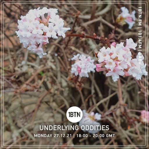 Underlying Oddities - 27.12.2021
