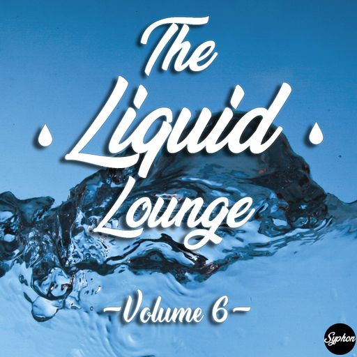 The Liquid Lounge : Volume 6