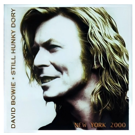 Bowie The BowieNet show at the Roseland Ballroom N.Y. on 19th June, 2000