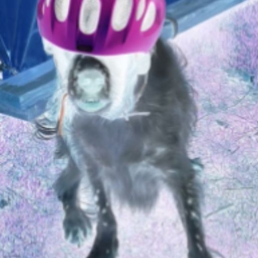 Wednesday random (15/05/24)