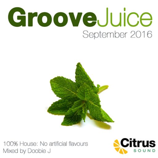 Groove Juice Mojito - September 2016